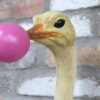 Ostrich Wall Decoration