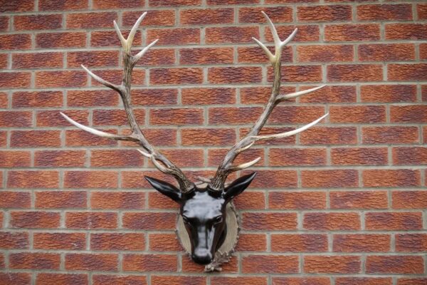 Stag Head - Large