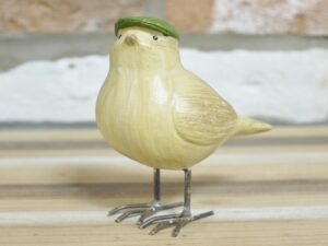 Bird with Flat Cap