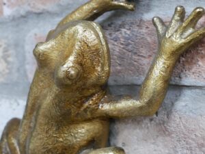 Frog Wall Decoration