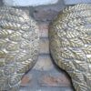 Angel Wings