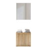 Austin 2 Door Under Sink Cabinet