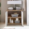 Austin 2 Door Under Sink Cabinet