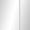 Austin Mirrored Cabinet