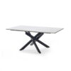 Bradley White Marble Coffee Table