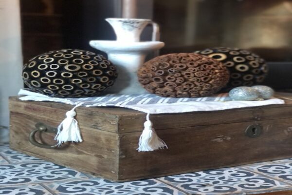 Antique mahogany Chest - Small