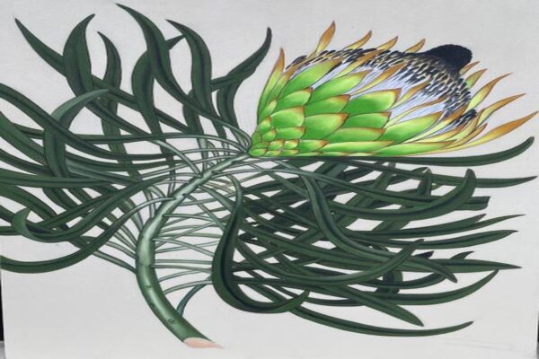 Protea