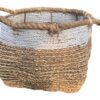 Toledo Basket