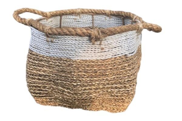 Toledo Basket