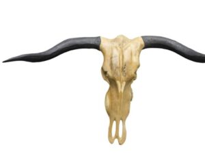 Vegan Hutning Trophy - Buffalo Black Horns