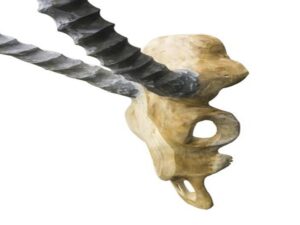 Vegan Hunting Trophy - Antelope Grey Horns