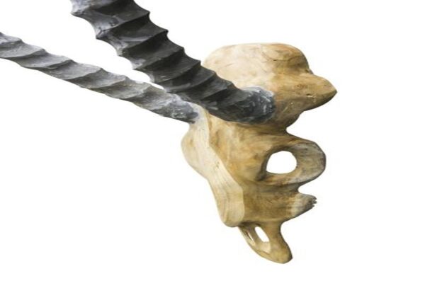 Vegan Hunting Trophy - Antelope Grey Horns
