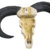 Vegan Hunting Trophy - Ram Black Horns