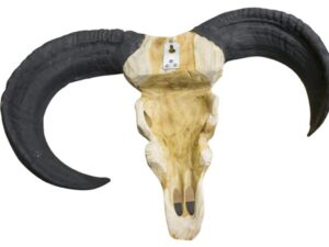 Vegan Hunting Trophy - Ram Black Horns