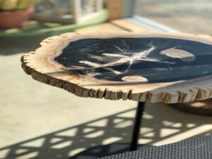60cm Petrified Wood Staccato Table
