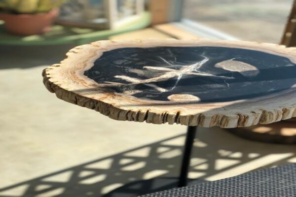 60cm Petrified Wood Staccato Table