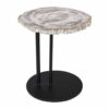 50cm Petrified Wood Staccato Table