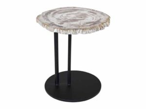 50cm Petrified Wood Staccato Table