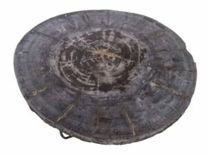 Petrified Wood Round Coffee Table