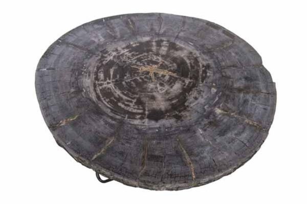 Petrified Wood Round Coffee Table