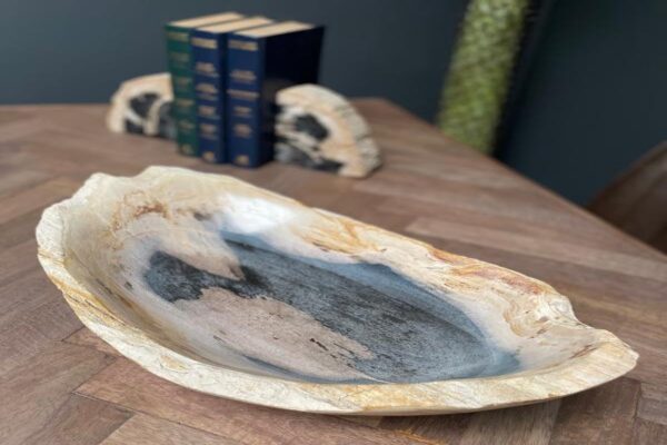 DF-BB-CASA26-featured Petrified Wood Lipped Bowl