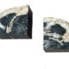DF-BB-CASA27-featured Petrified Wood Pair of Bookends
