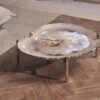 Petrified Wood Platter