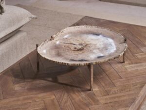 Petrified Wood Platter