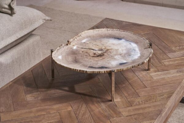 Petrified Wood Platter