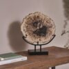 DF-BB-CASA42-featured Petrified Wood Chopping Board Décor