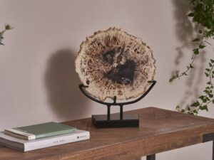 Petrified Wood Chopping Board DÃ©cor