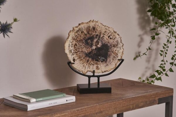 DF-BB-CASA42-featured Petrified Wood Chopping Board Décor