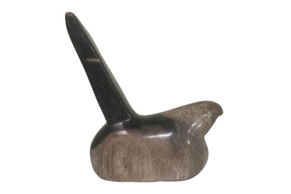 DF-BB-CASA47-featured-1 Small bird