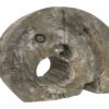 DF-BB-CASA49-featured-1 Elephant