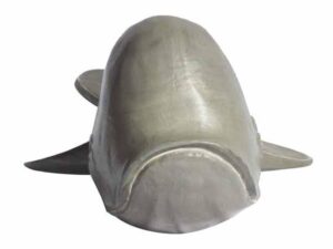 DF-BB-COLL08-featured-1 Moby Dick