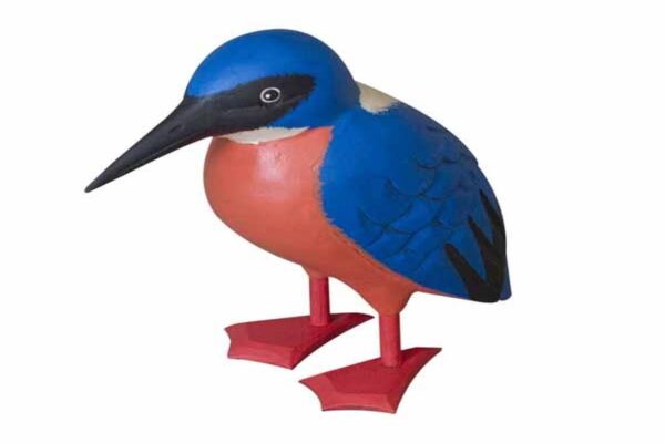 Kingfisher (Pack of 4)