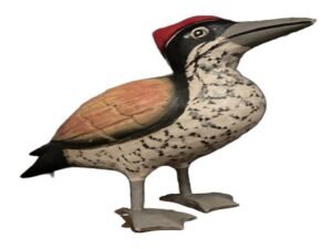 Woodpecker (Pack of 4)