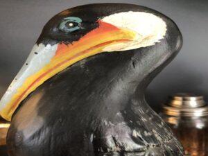 Pelican (Pack of 4)