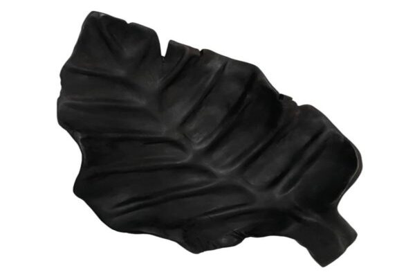 DF-BB-COLL25-C-featured Broad Teak Leaf - Charcoal