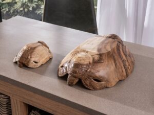 DF-BB-COLL47-featured-1 Turtle Bowl Small