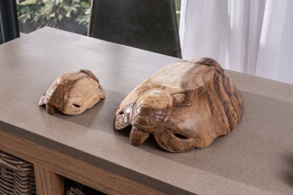 Turtle Bowl Small
