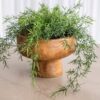 Santi Bowl - Natural