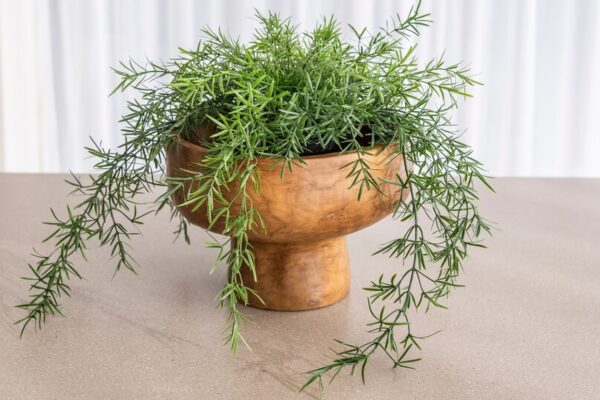 Santi Bowl - Natural