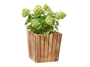 DF-BB-CONI18-featured Coniston Single Planter