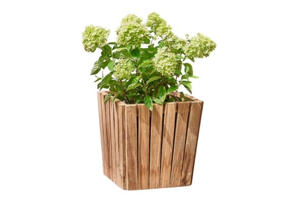 Coniston Single Planter