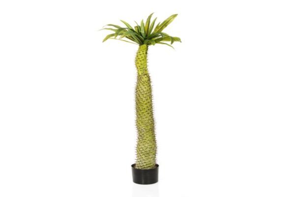 Faux Plant Tall Palm