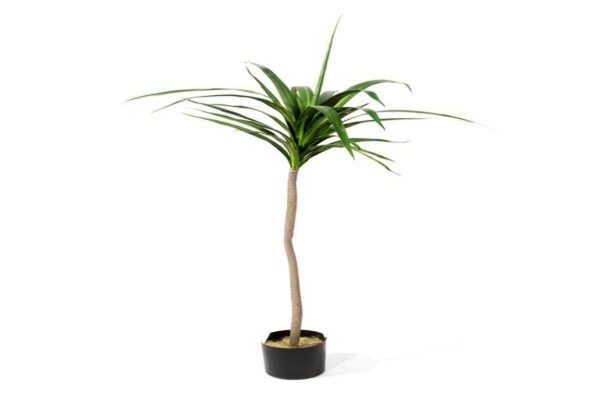 Faux Plant Yucca 115cm