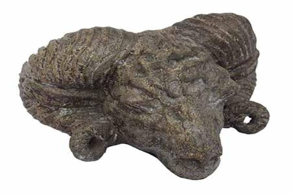 Rams Head - Brun (Pack of 2)