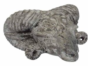 DF-BB-GLAZ06-C-featured-1 Rams Head - Creme (Pack of 2)