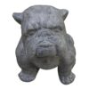 Small Bulldog